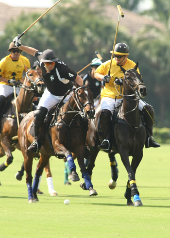 polo photos alex pacheco haas cup finals polo magazine 4