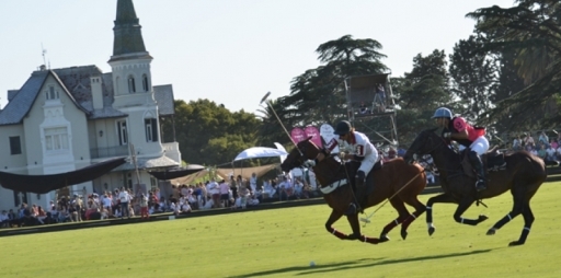 First Official ALL PRO POLO and link to Rules