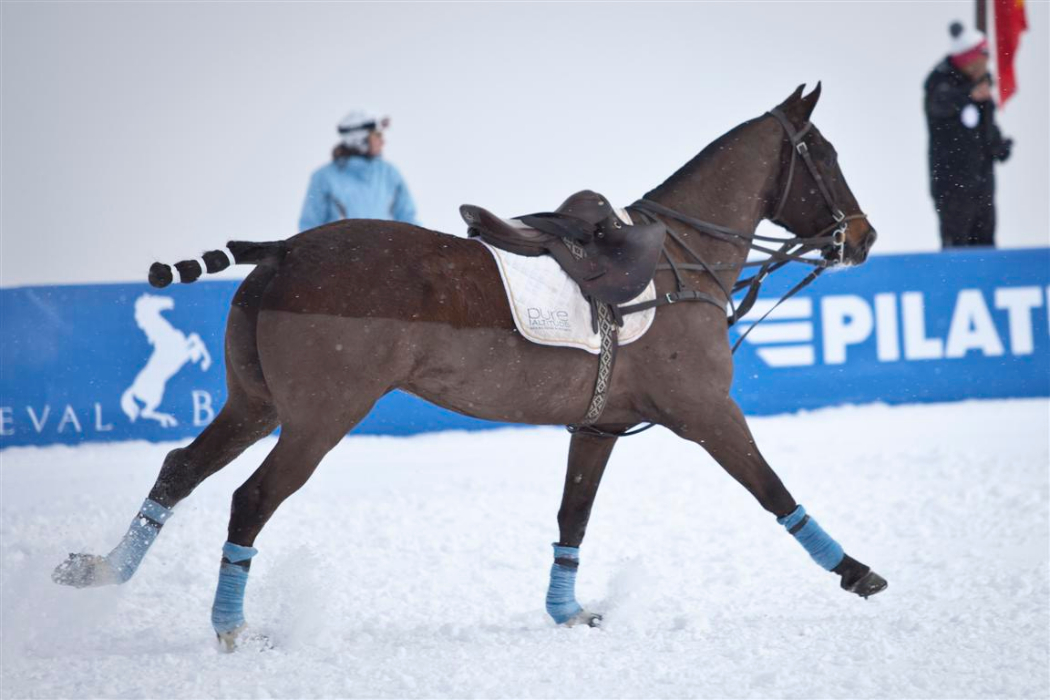 bmw polo masters polo magazine morgane delfosse dimanche 3 f 17