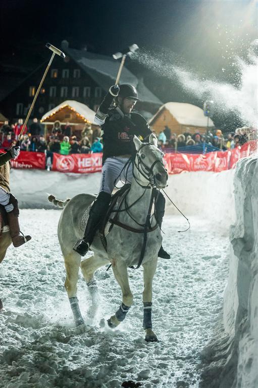  DSC7806-Modifier---andyparant.com