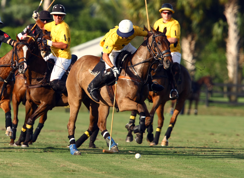 joebarrypolotournamentmemorialpolocuppolomagazinepacheco 4