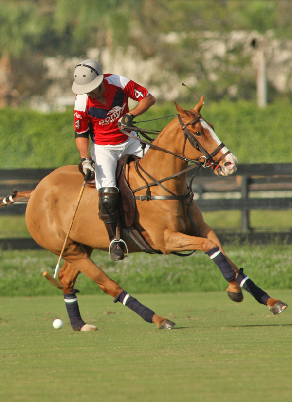polomagazineGrand Champions poloclubPBP12GoalCasablancaPonyExpress 2