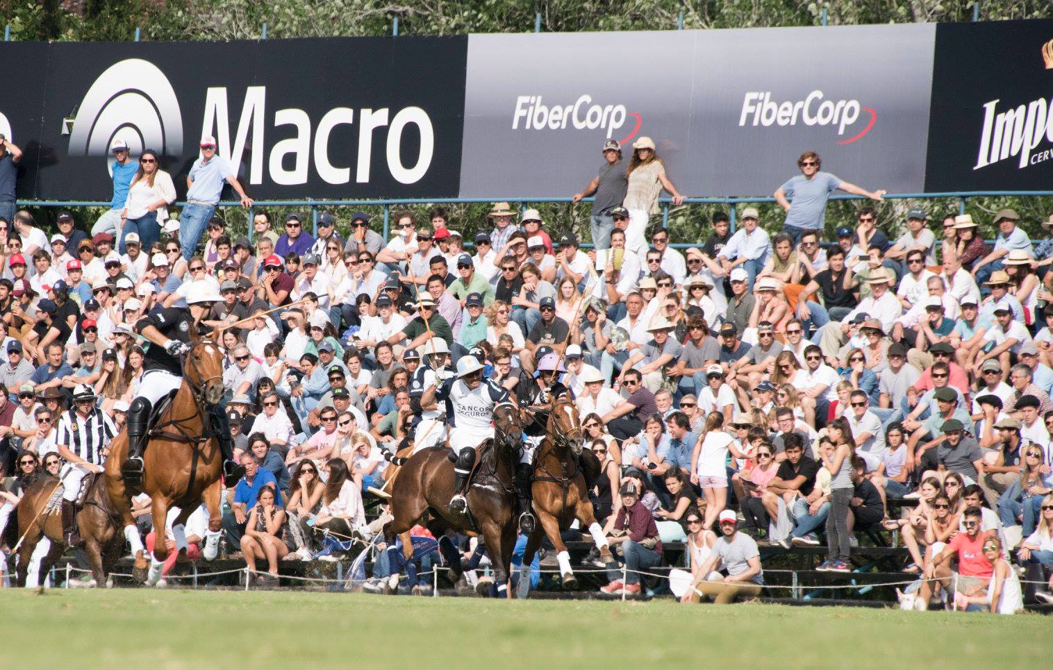 14706768 1804597206448751 1982570450680402118 o