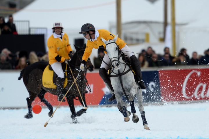 31 01 16-0390 24364115049 o