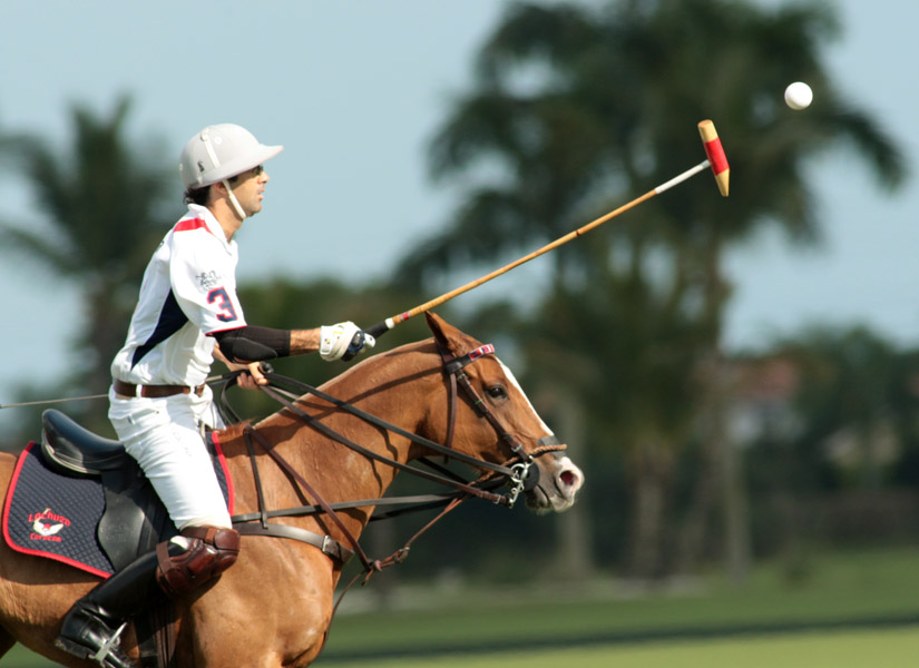 TonkawaLechuza CaracasYlvisaker Cuppolomagazine 2