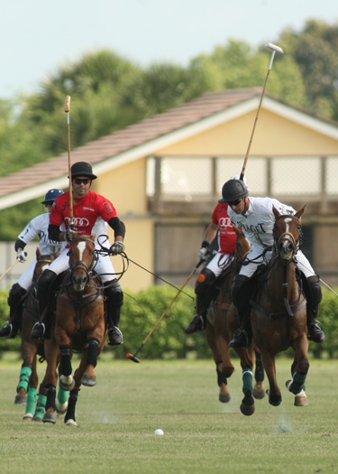 polophotopalmcitypoloclubpolomag 4